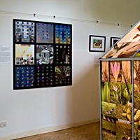 exhibition 1